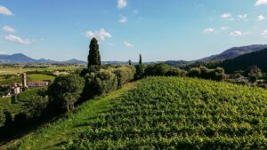promuovere eventi cantina